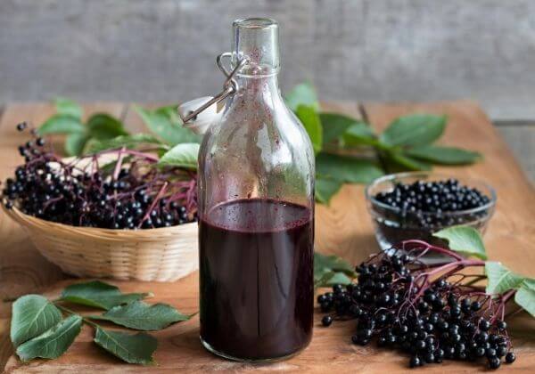 The Many Benefits of Immune-Supporting Elderberry