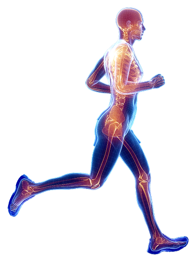Benefits Don't Stop At Bone Density