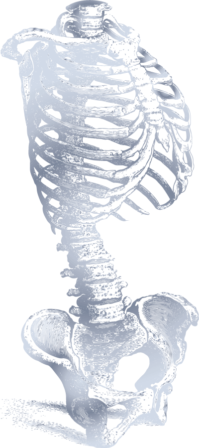 Decorative Health Guide Image