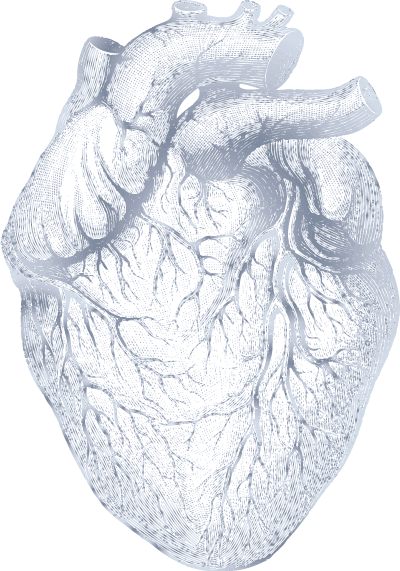 Decorative Health Guide Image