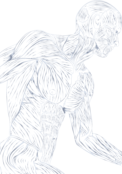 Decorative Health Guide Image