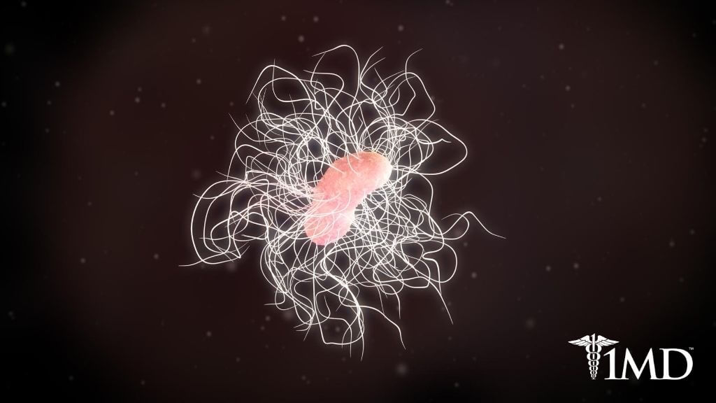 C. Diff Spores Survive Hospital Laundry: How to Stay Safe From the Bac ...