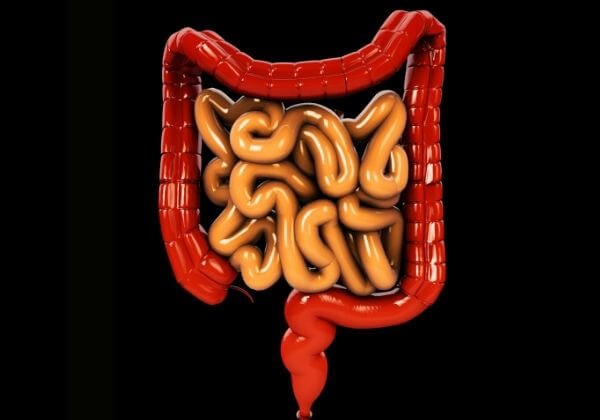 Constipation: Causes, Diagnosis, and Natural Treatments