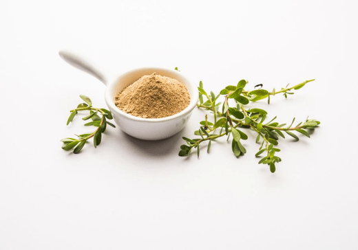Bacopa monnieri Benefits for Memory, Everyday Stress, Learning & More