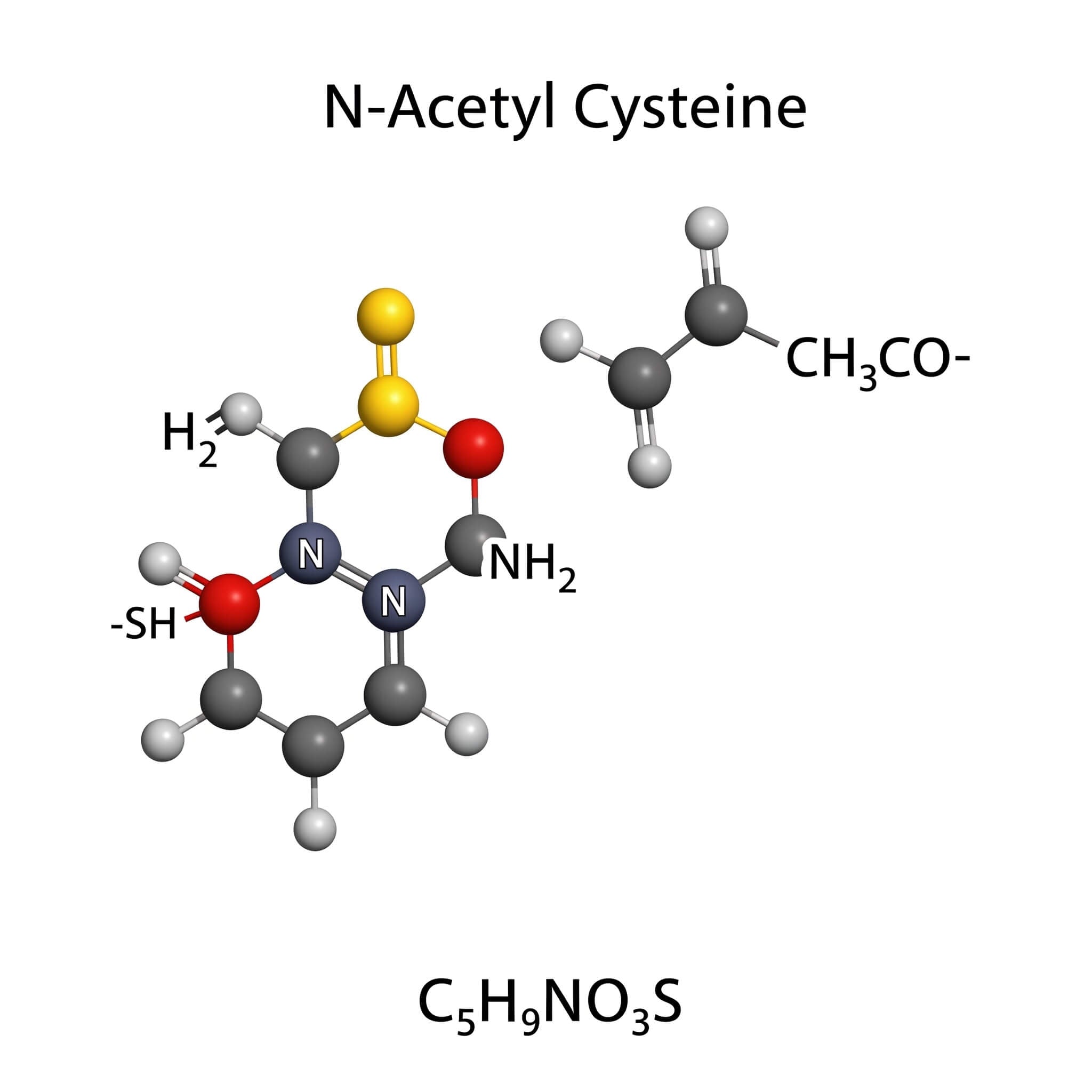 The chemical structure of N-Acetyl Cysteine (NAC)