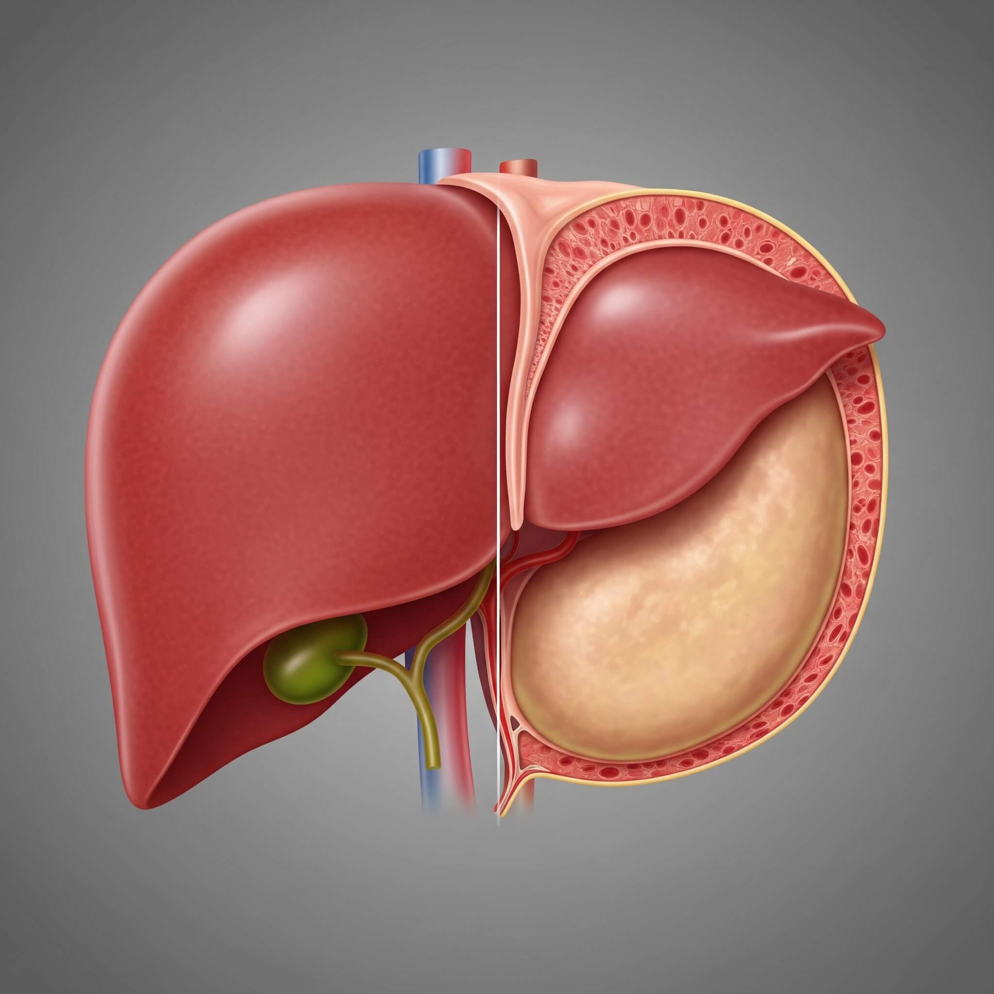 The Link Between Sugar, Processed Foods, and Liver Stress