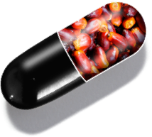 capsule graphic showing 1MD Nutrition VisionMD ingredient evtene