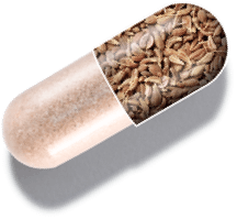 capsule graphic showing 1MD Nutrition BalanceMD ingredient anise seed