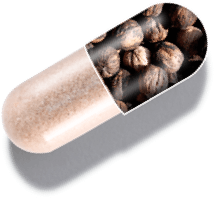 capsule graphic showing 1MD Nutrition BalanceMD ingredient black walnut hulls powder