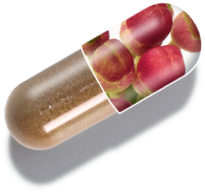 capsule graphic showing 1MD Nutrition OsteoMD ingredient calzbone