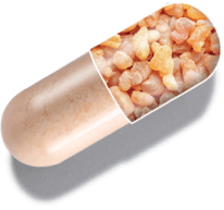 capsule graphic showing 1MD Nutrition CurcuminMD ingredient boswelia serrata