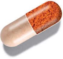 capsule graphic showing 1MD Nutrition CurcuminMD ingredient longvida optimized curcumin extract