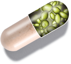 capsule graphic showing 1MD Nutrition EnzymeMD proprietary blend