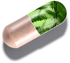 capsule graphic showing 1MD Nutrition GutMD ingredient acacia fibregum