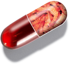 capsule graphic showing 1MD Nutrition KrillMD ingredient krill oil