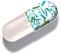 capsule graphic showing 1MD Nutrition PrebioMD ingredient PreForPro