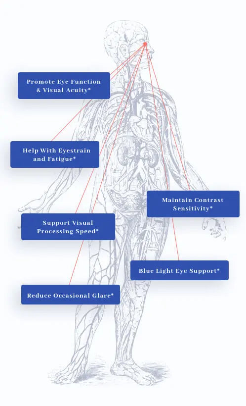 1MD Nutrition VisionMD benefits on a human body graphic