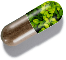 capsule graphic showing 1MD Nutrition CholestMD ingredient berberine extract