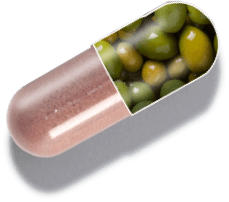 capsule graphic showing 1MD Nutrition CholestMD ingredient oliveleaf