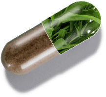 capsule graphic showing 1MD Nutrition GlucoseMD ingredient gymnema