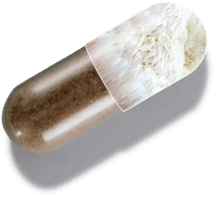 capsule graphic showing 1MD Nutrition GlucoseMD ingredient lion's mane mushroom