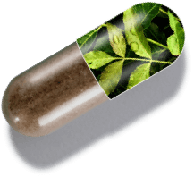 capsule graphic showing 1MD Nutrition GlucoseMD ingredient neem leaf extract