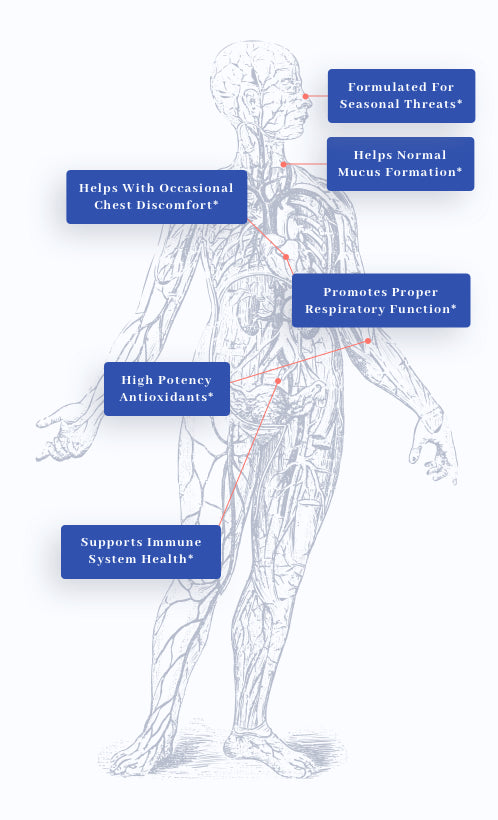 human body graphic showing benefits of 1MD Nutrition's BreatheMD