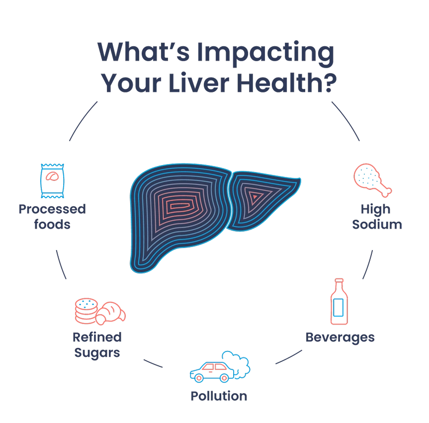 Factors affecting liver health