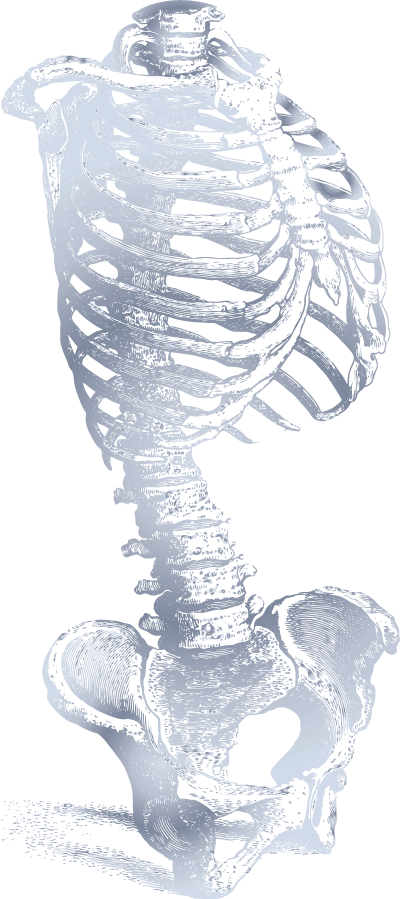 Bone System Health Guide